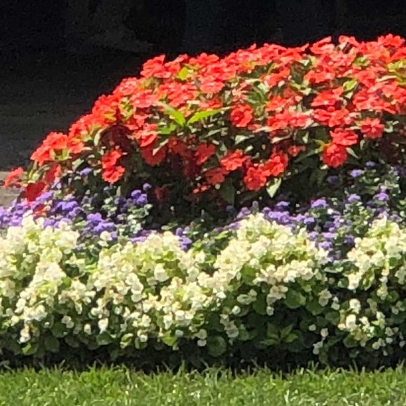 Multiples Other - support your host mystery box